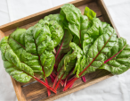 swiss chard