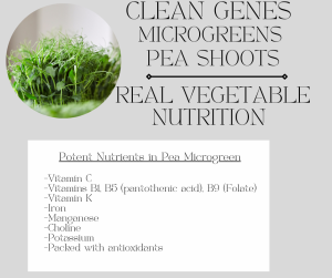 Pea Microgreen Shoots
