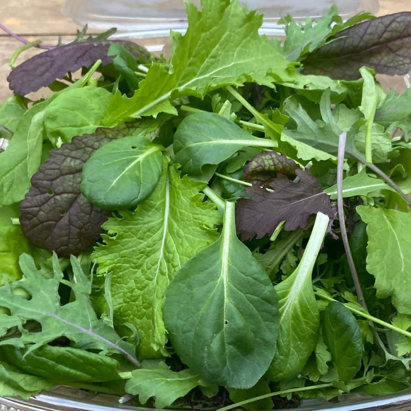 Mixed Salad Greens "Fancy"
